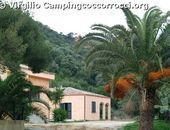 Camping Coccorrocci