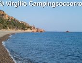 Der Strand von Camping Coccorrocci
