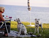 Camping Tieren erlaubt in Kroatien