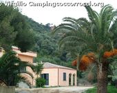 Camping Coccorrocci