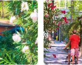 Camping Village Sole