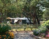 Campingplatz in der Provence