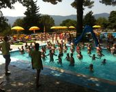 Animation im Pool