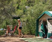 Camping in der Provence