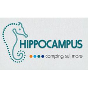 Camping Hippocampus