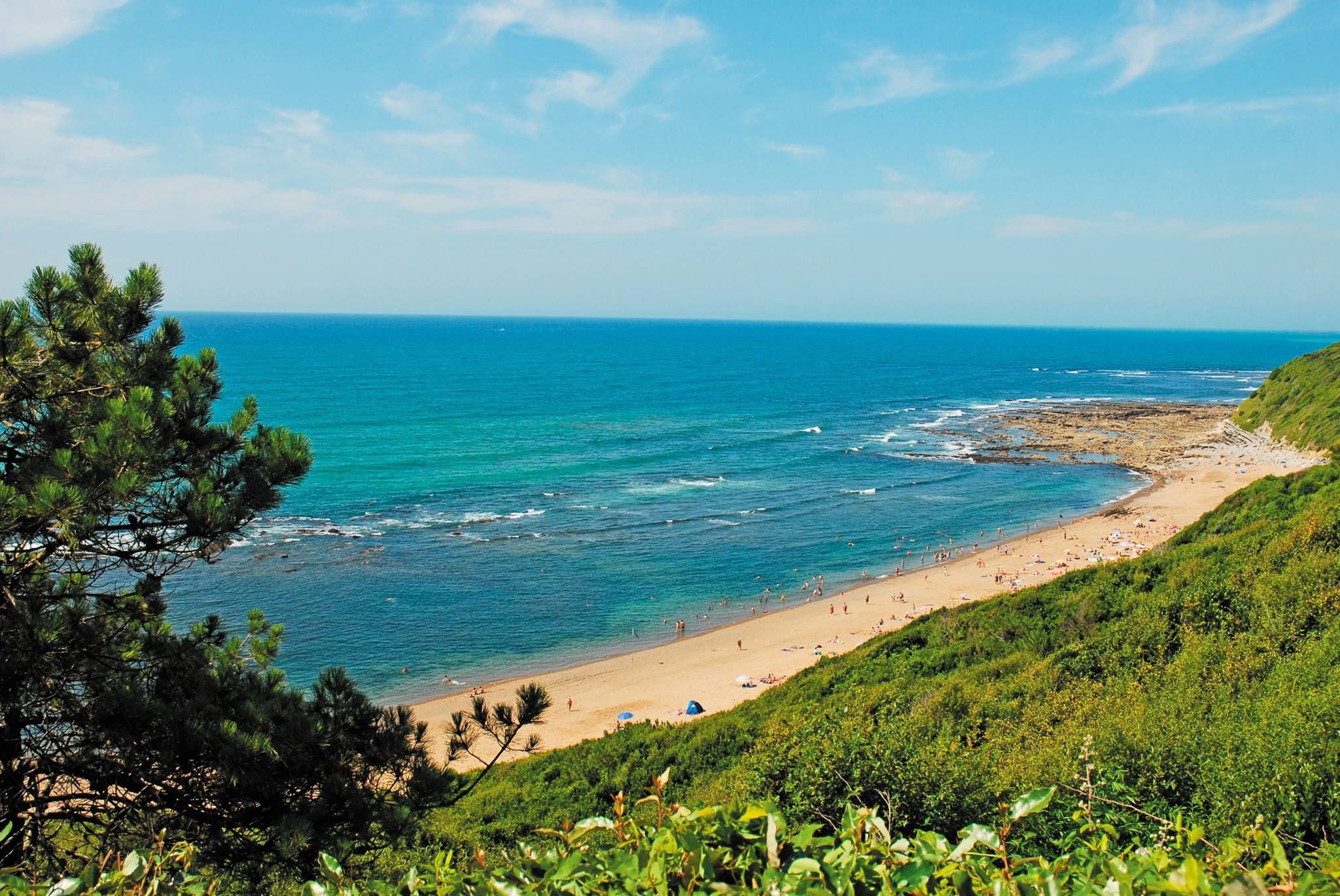 Jo mere du booker, jo mindre betaler du