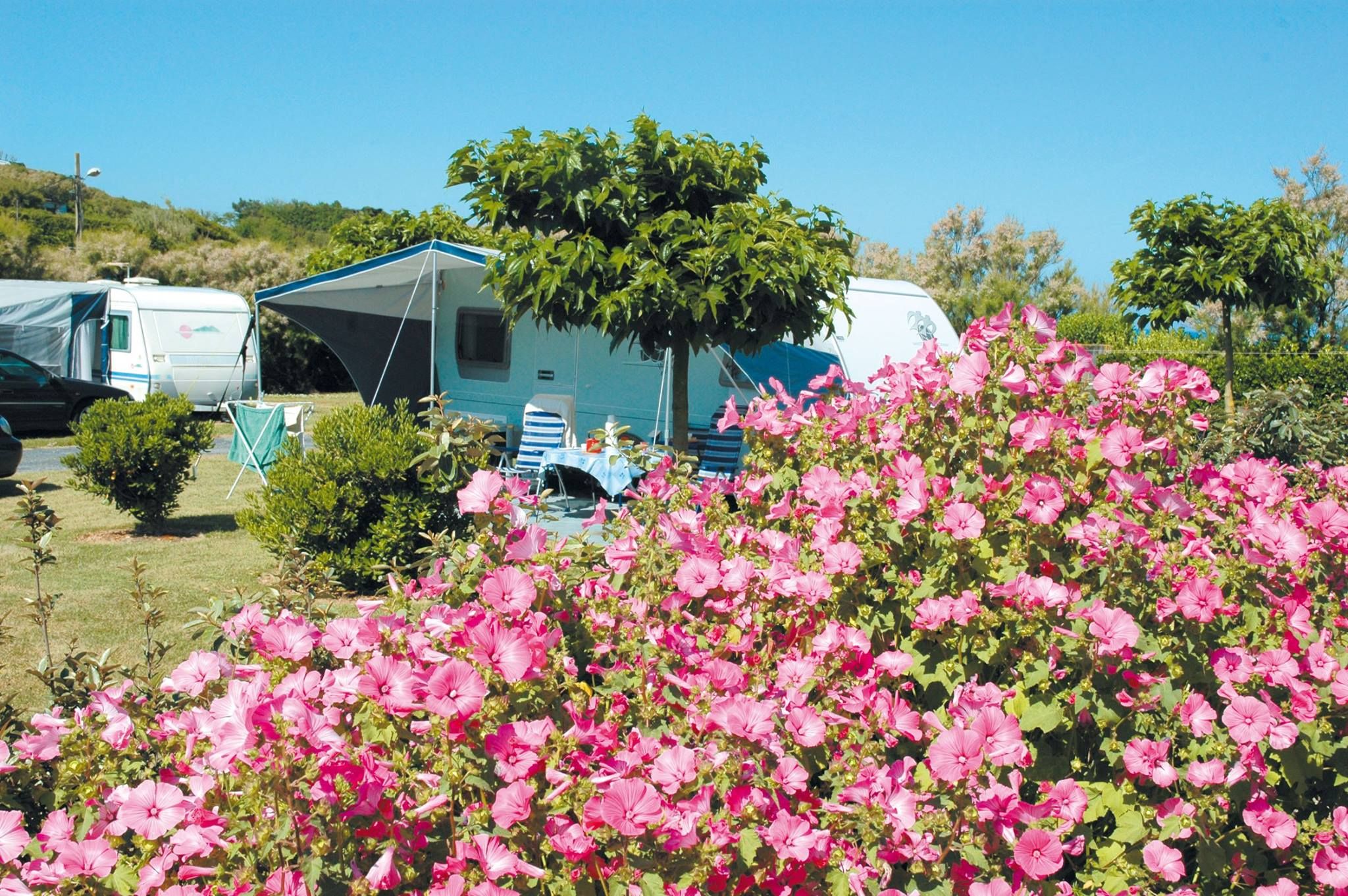 Più prenoti, meno paghi