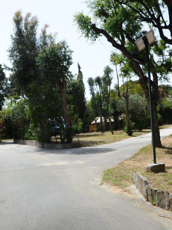 Camping La Pinède