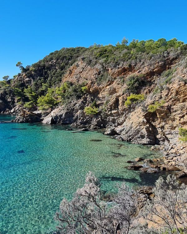 Camping La Pinède