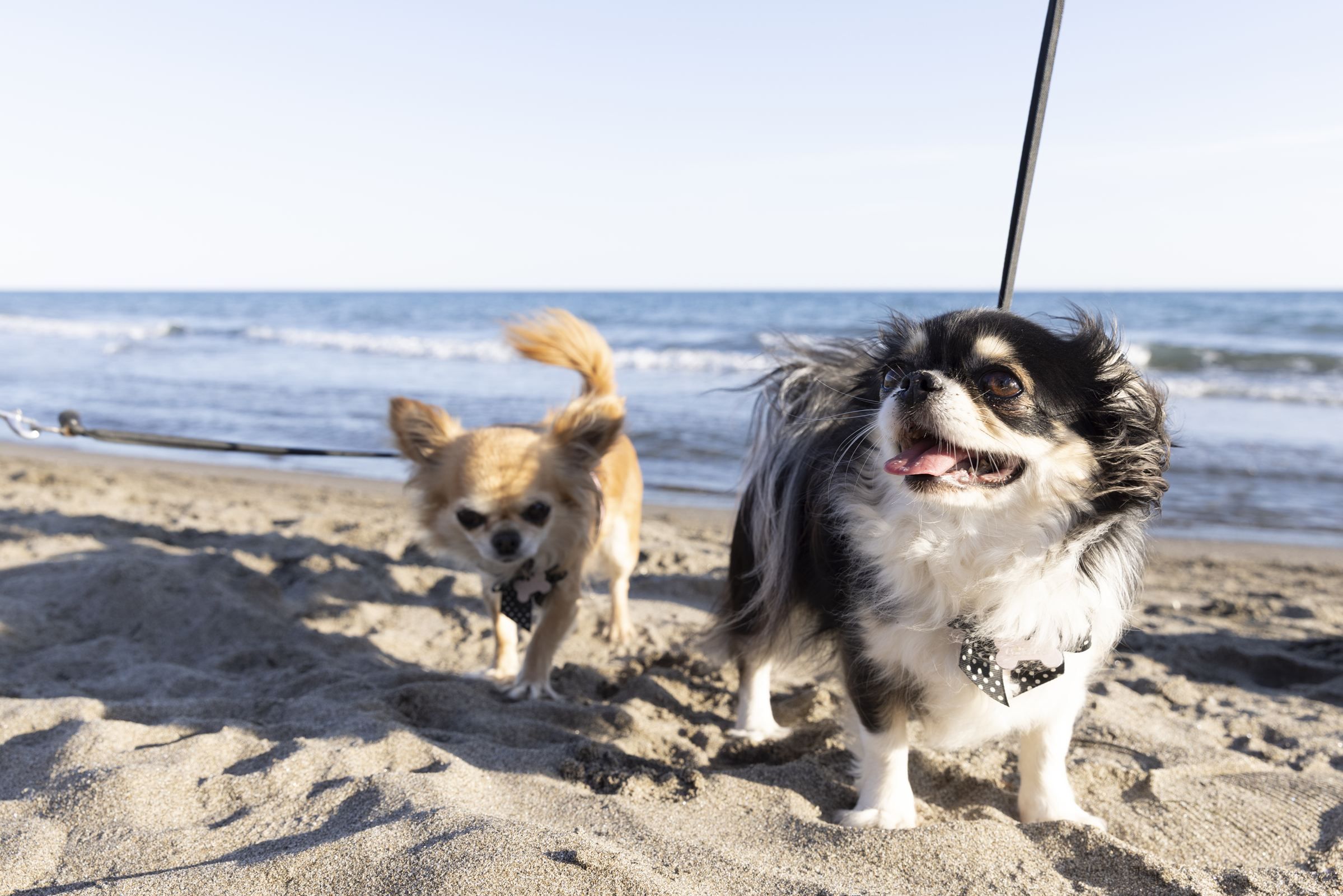 Single Parents Really on Holiday