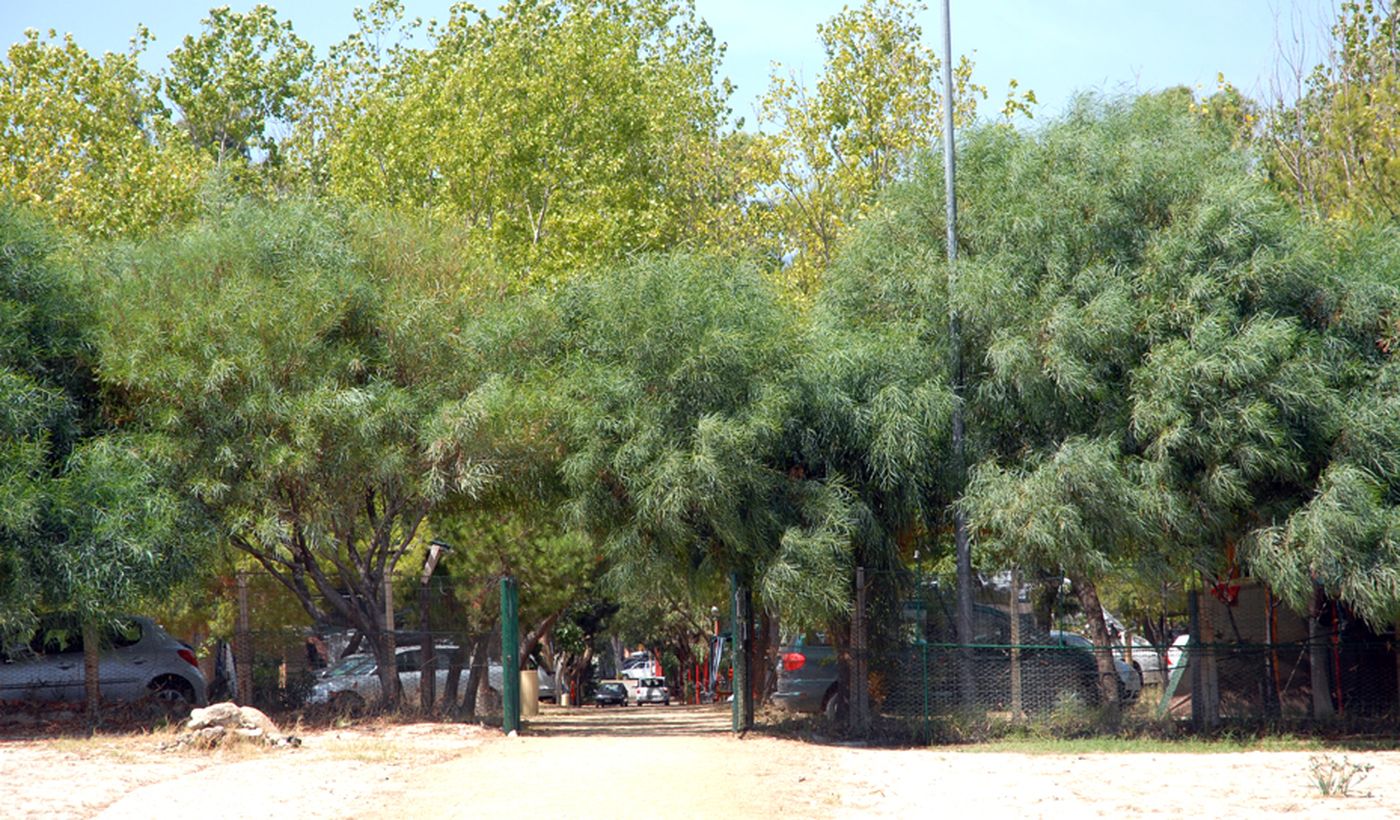 Camping La Rocca