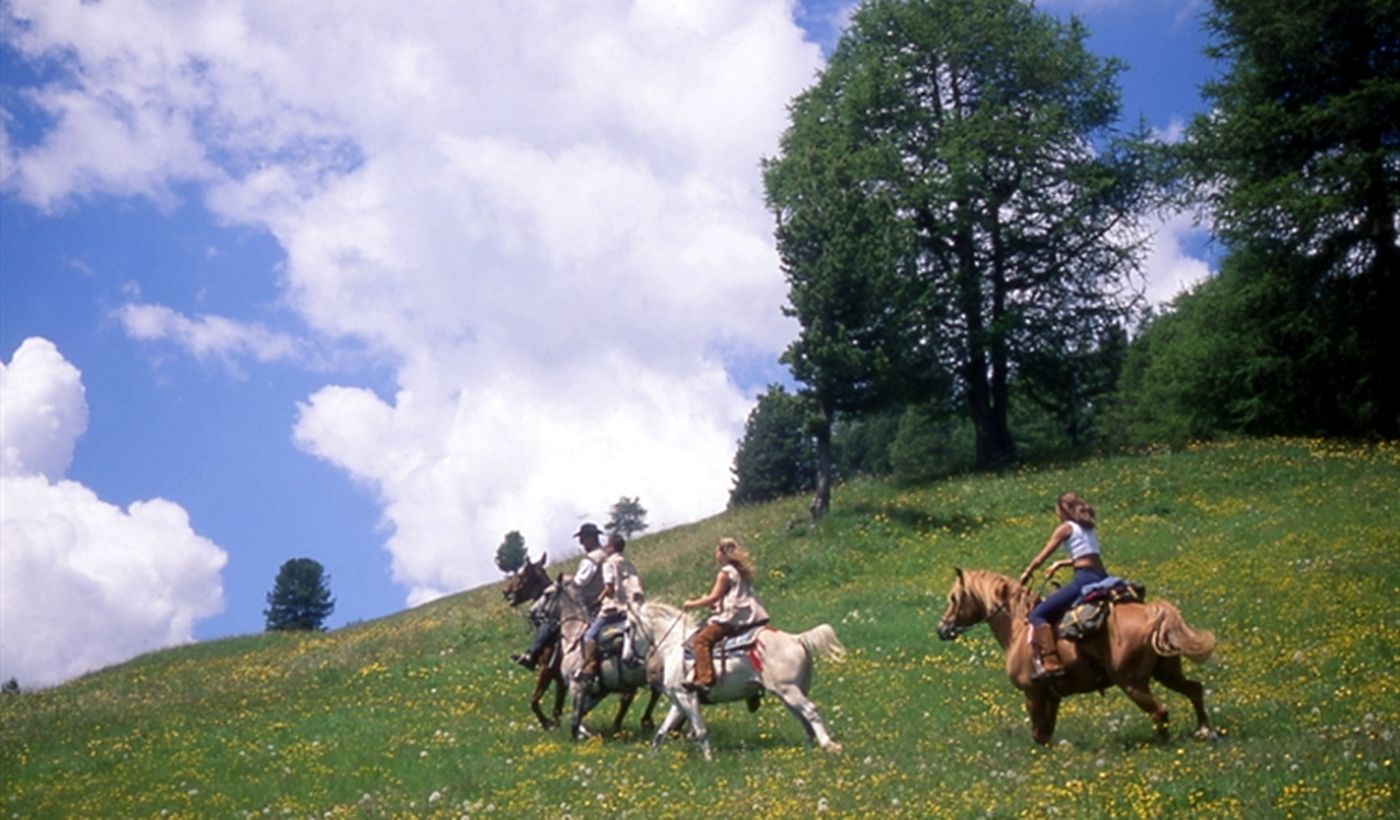 Reiten in Trentino Südtirol