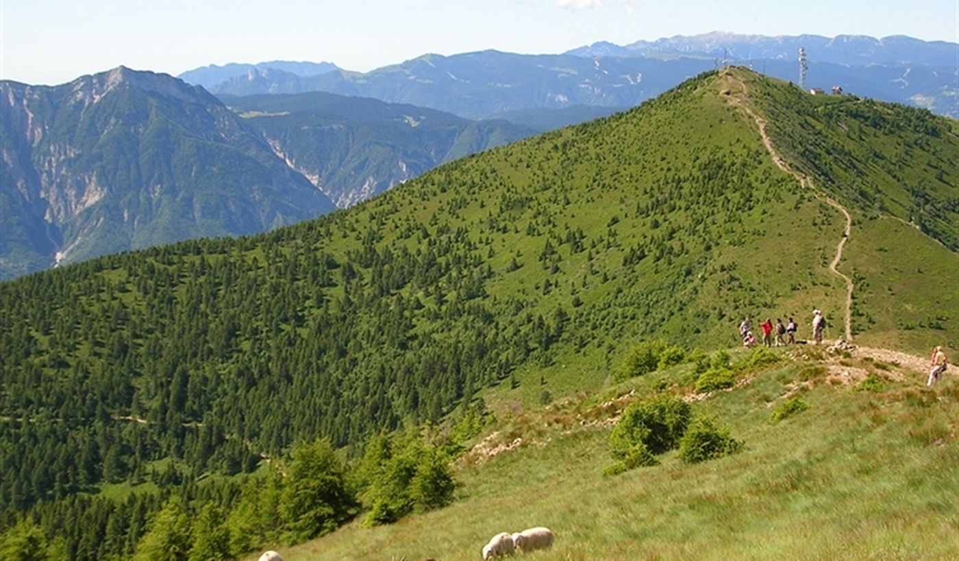 Begeleide tochten in Trentino Alto Adige
