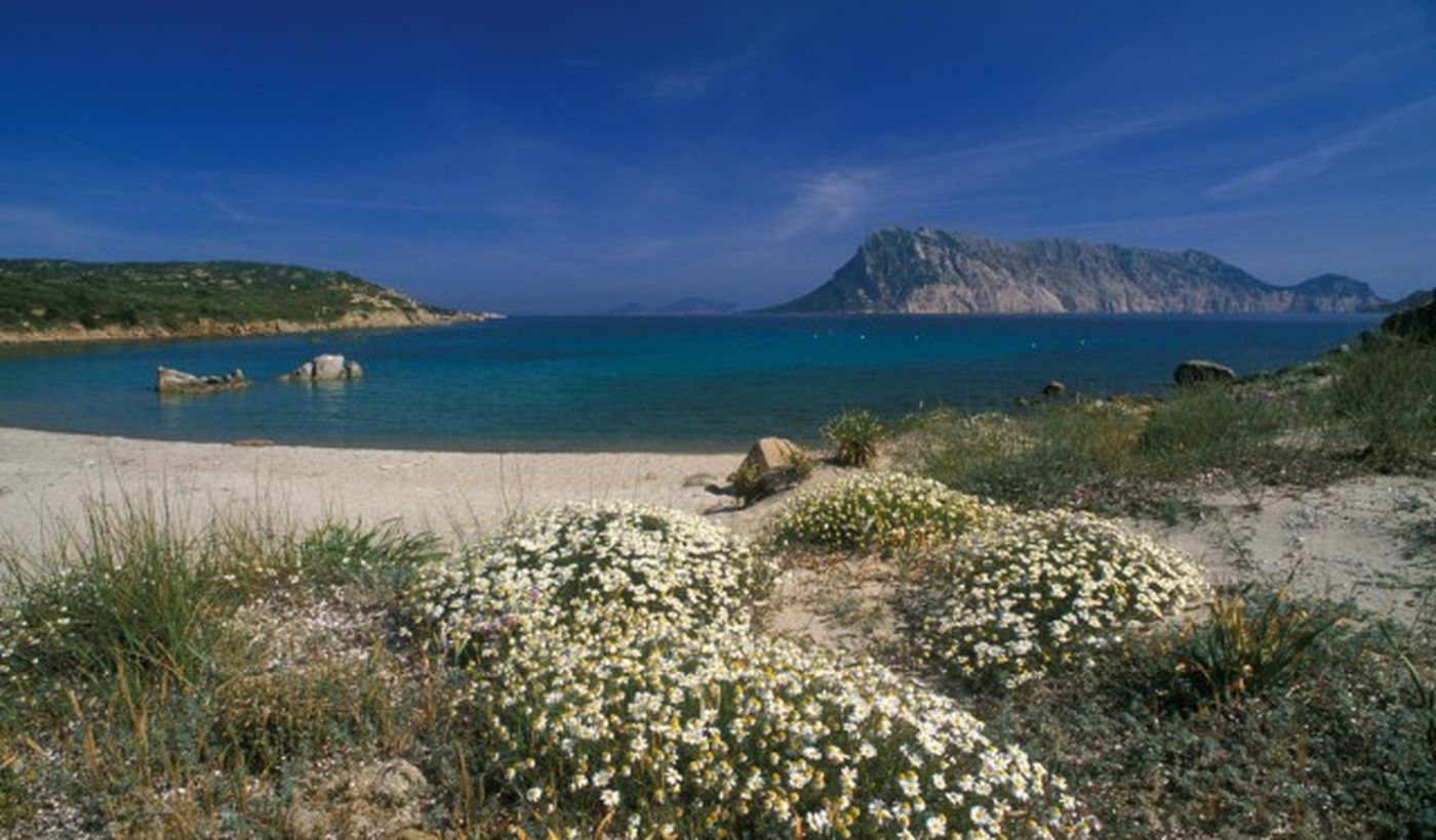 Weißer Strand in Sardinien