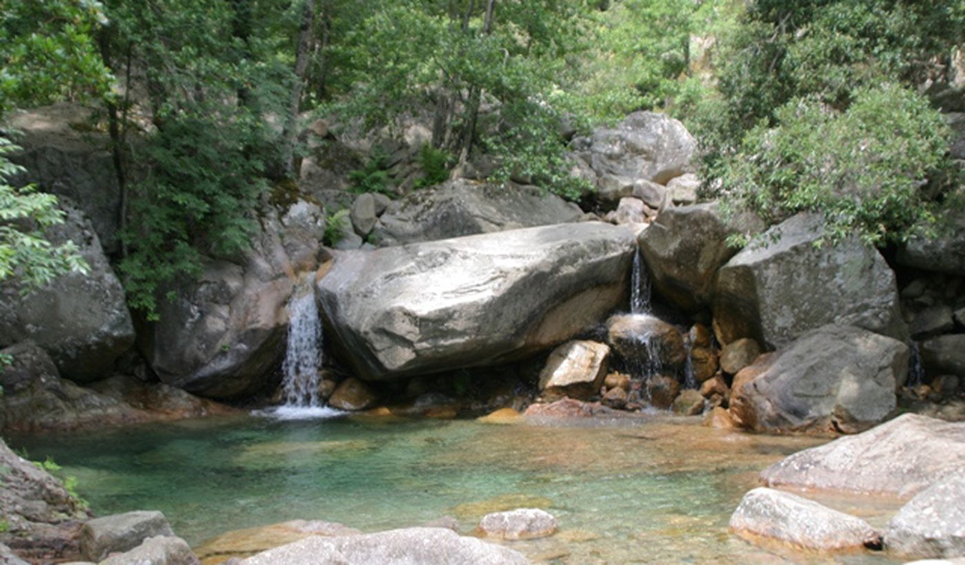 Camping U Ponte Grossu