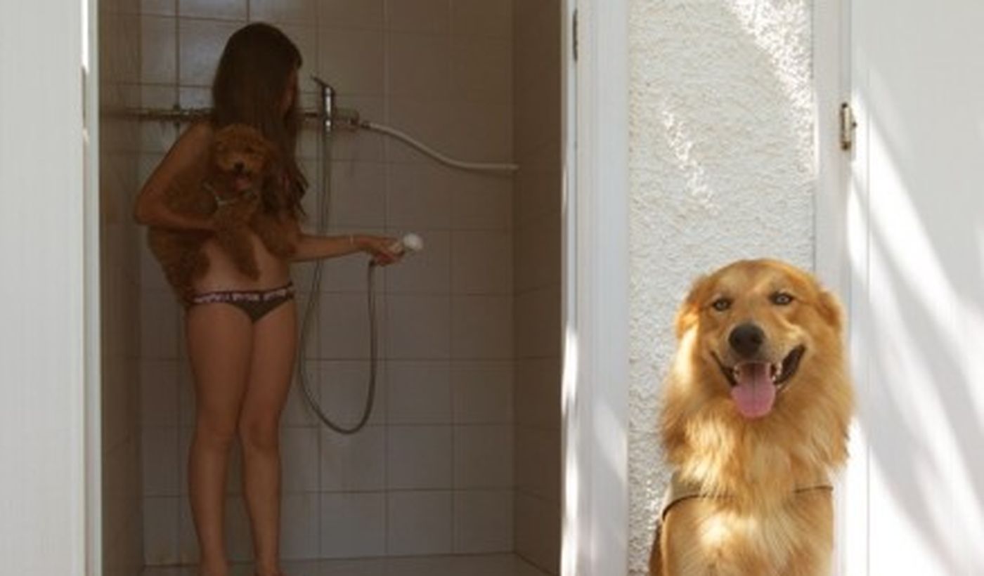 Duschen für Haustiere