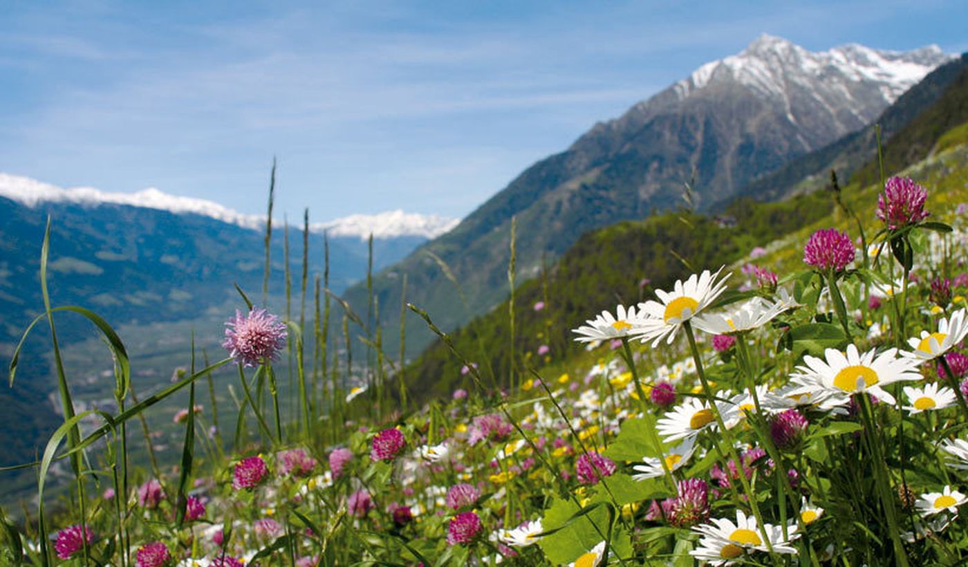 Campeggio in Alto Adige