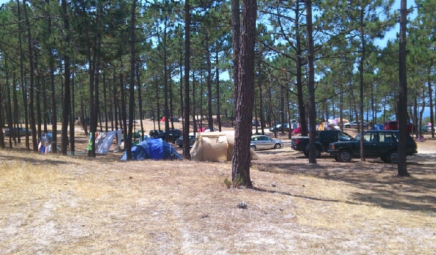 Camping Gale Beach