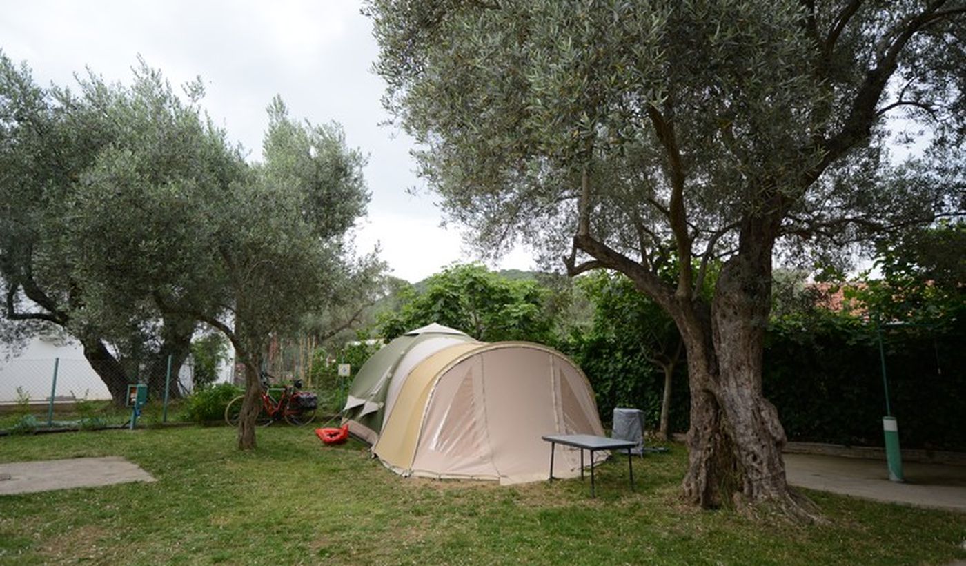 Oliva Camping