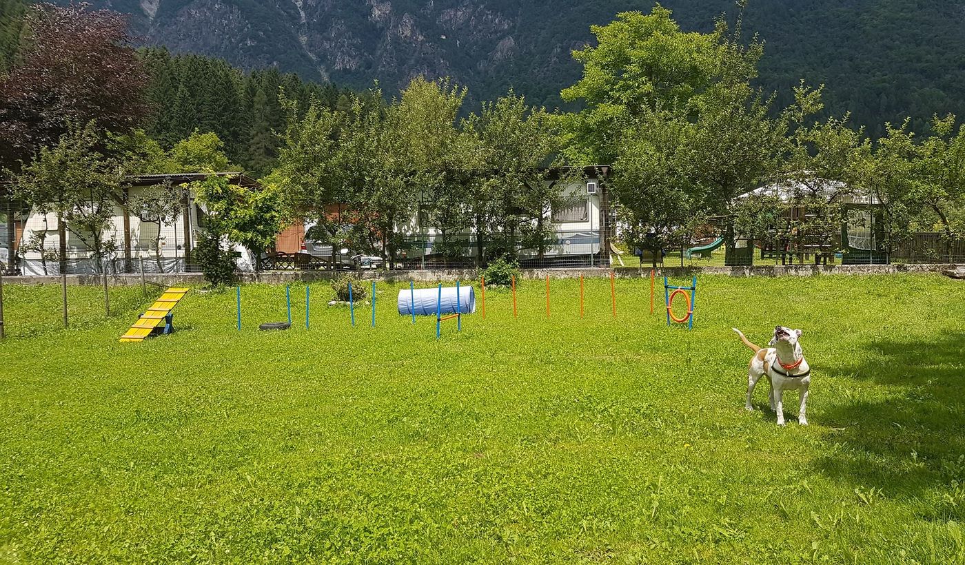 Camping in Trentino Alto Adige