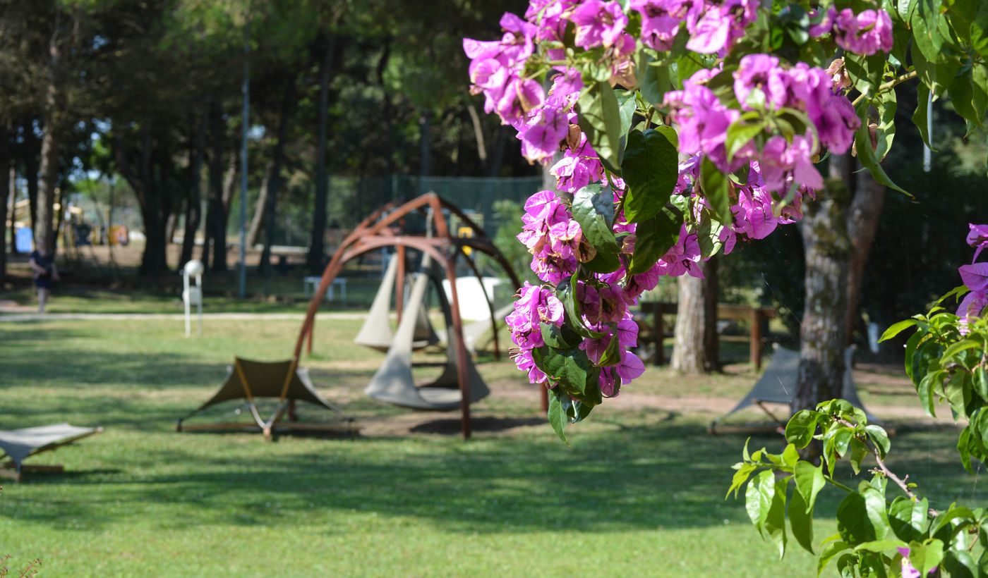 Camping Residence il Tridente
