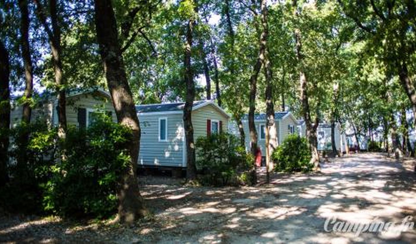 Camping Des Roussières Noirmoutier En L île