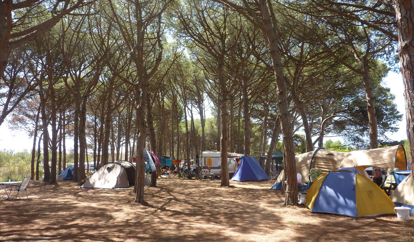 Camping El Molino