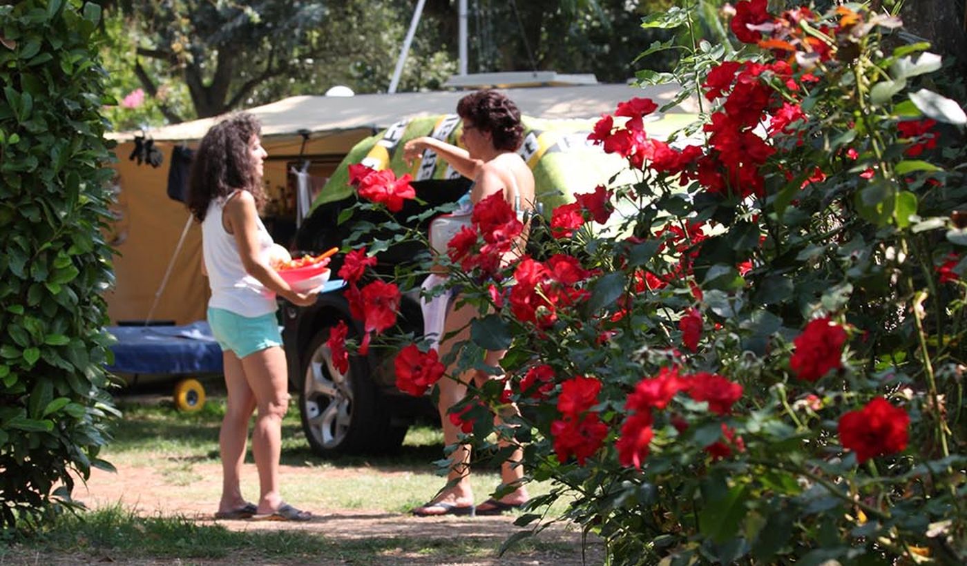 Massimo Camping