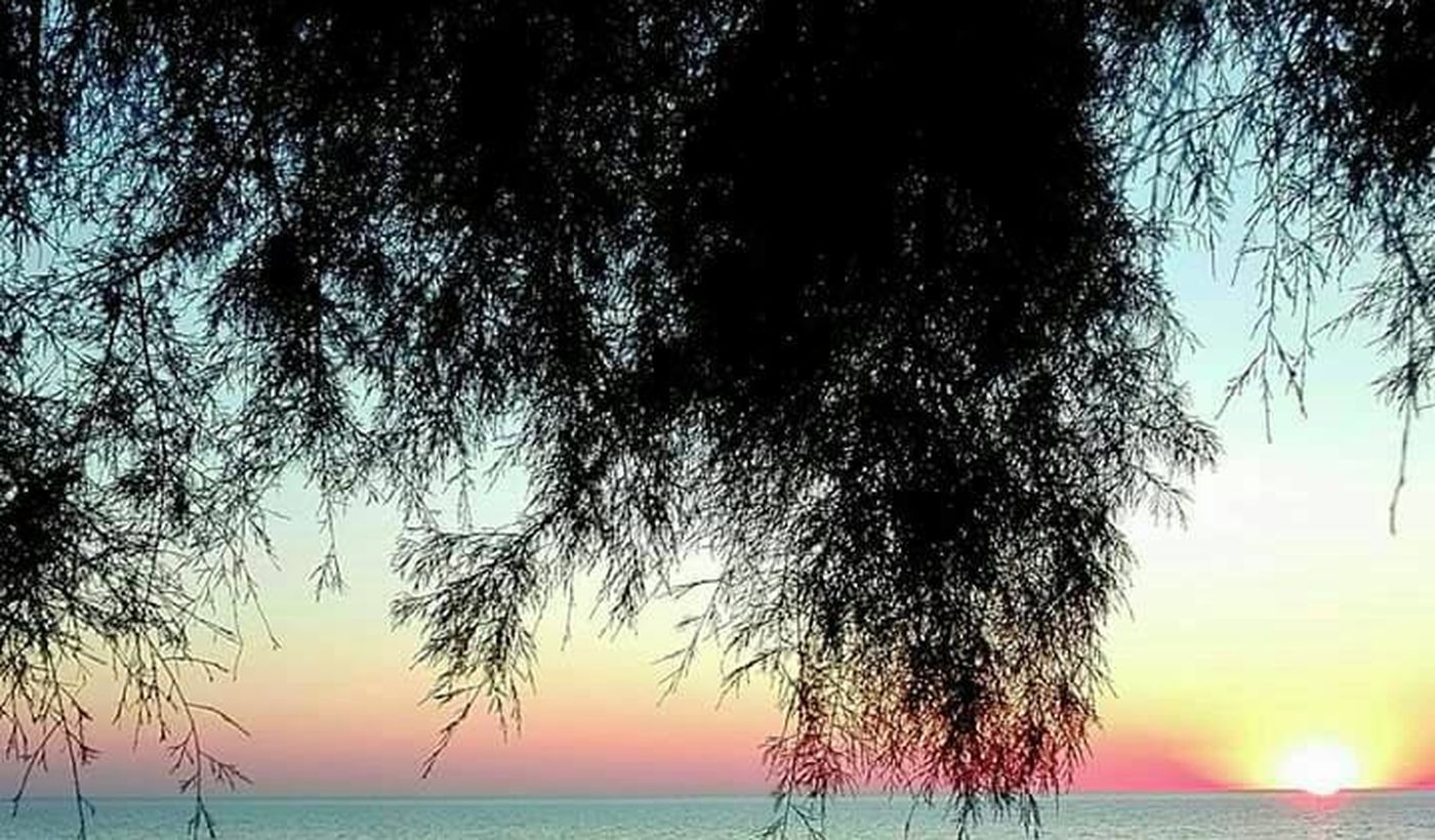 Agricamper Torre Sabea