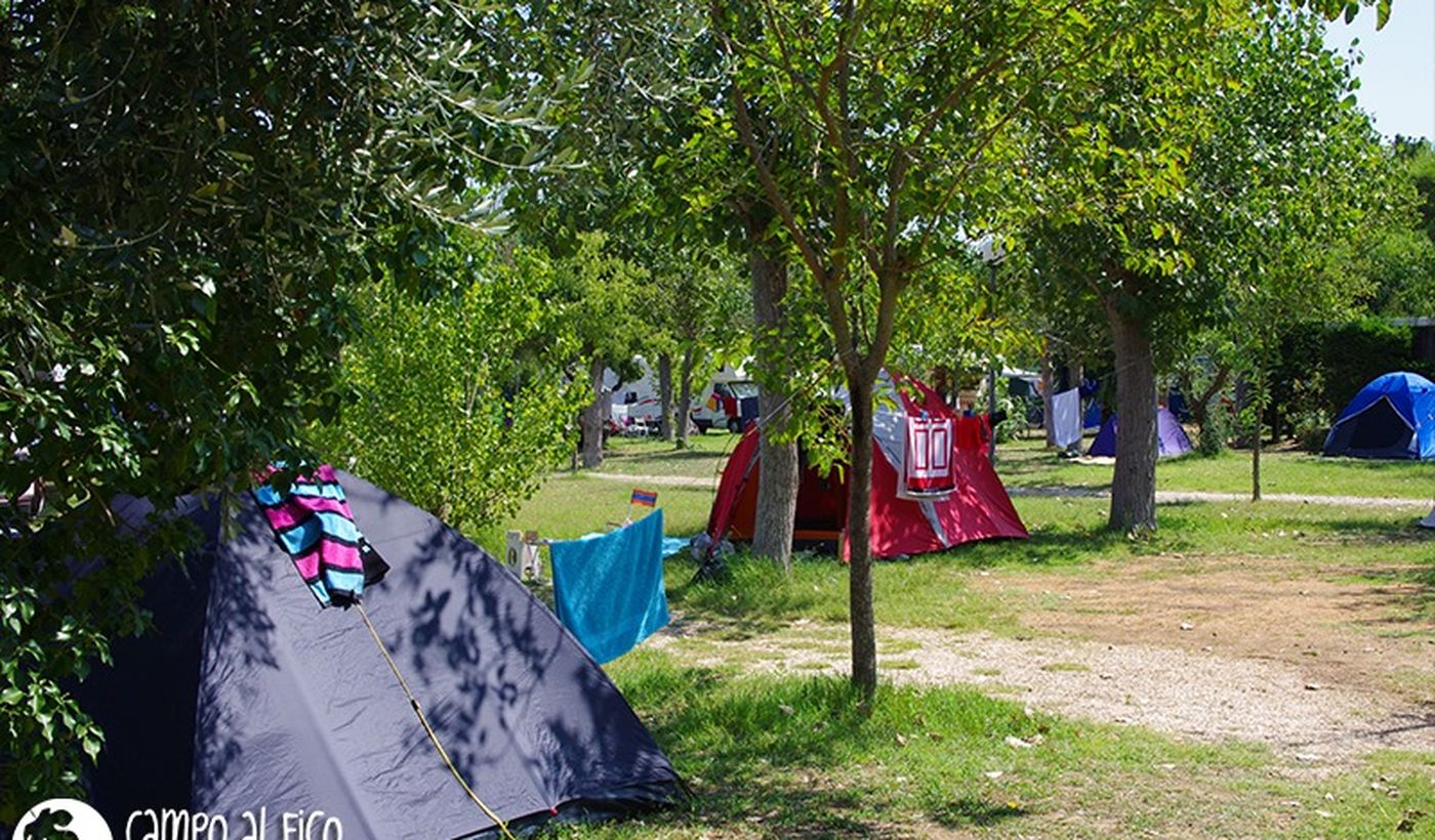 Camping Campo al Fico