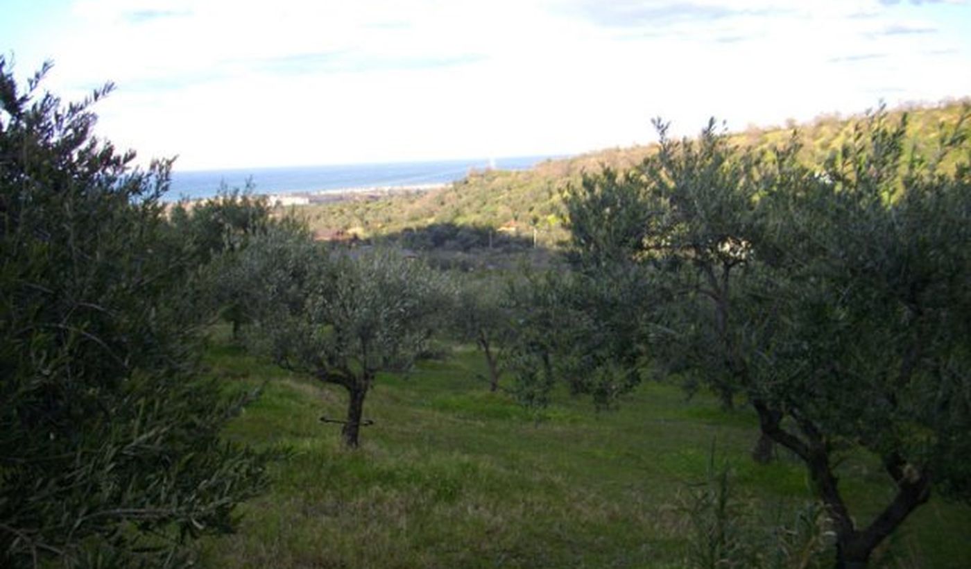 Agricampeggio Salinella