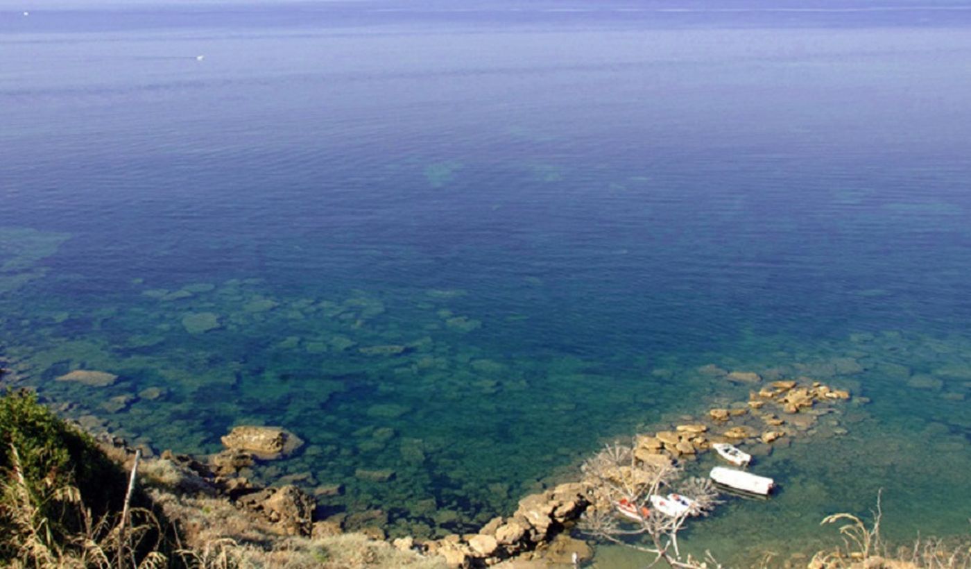Camping Dell'Uva
