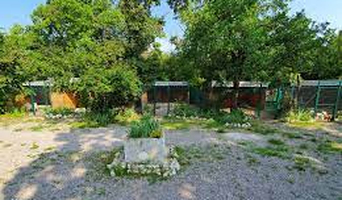 Camping Excelsior