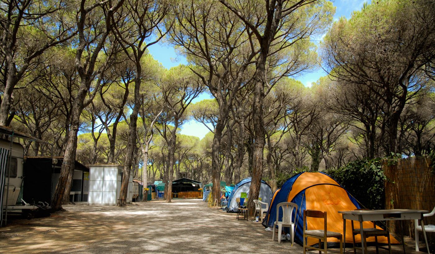 Camping Rosmarina