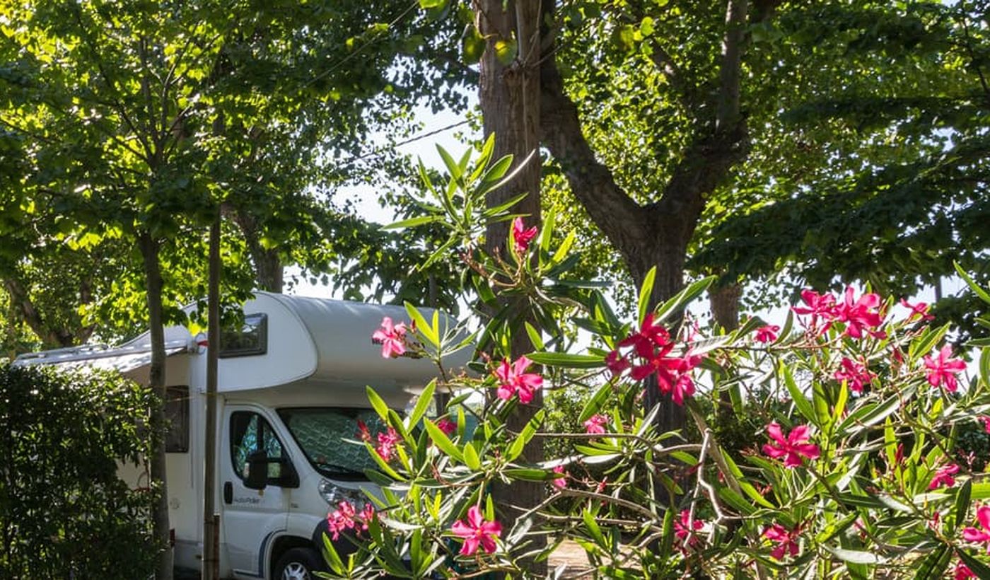 Camping Europa