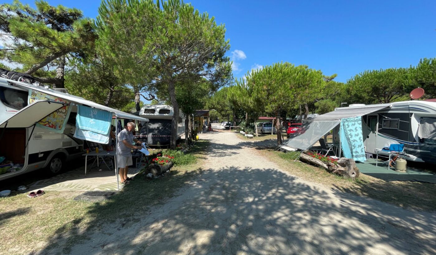 Camping Pineta