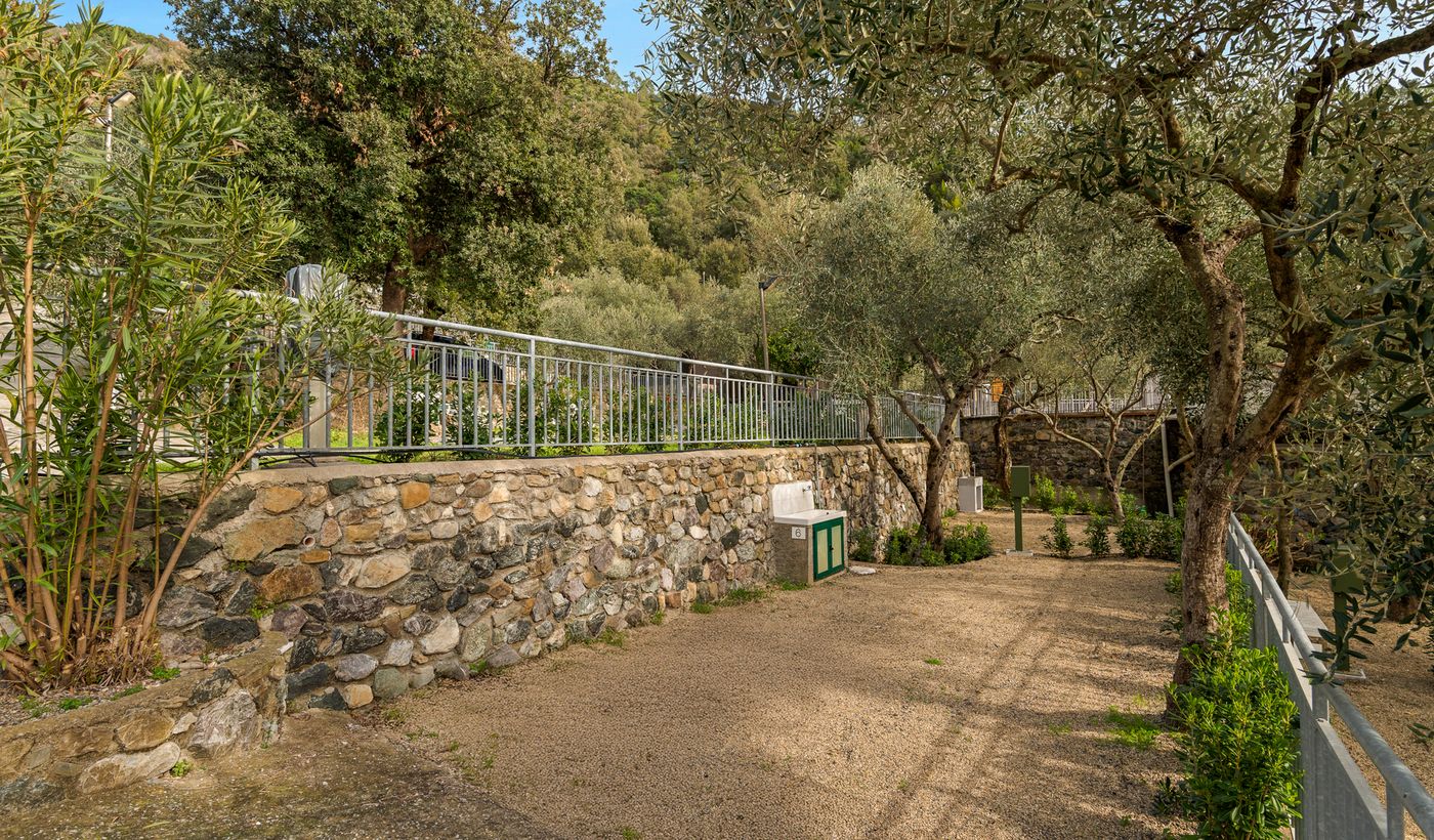 Glamping degli Ulivi