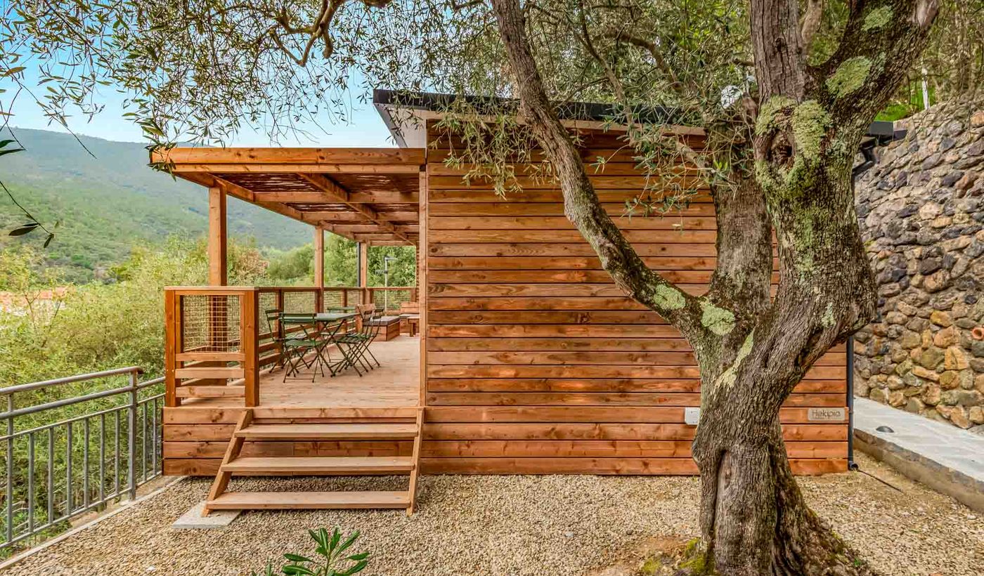Glamping degli Ulivi
