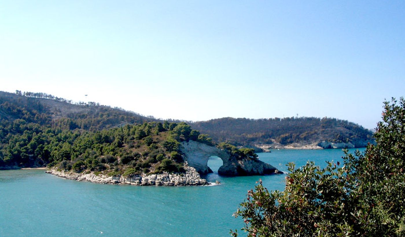 Camping Adriatico