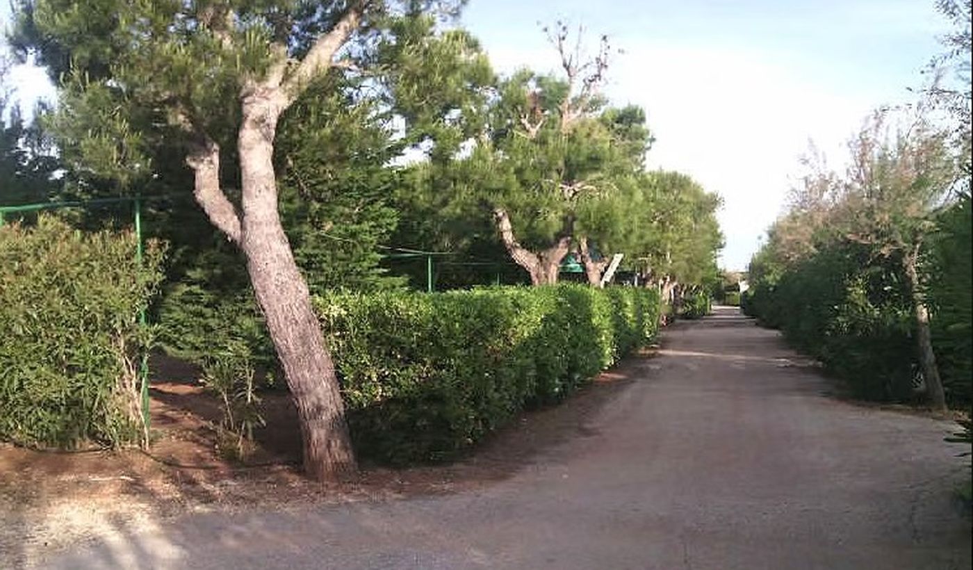 Campeggio Lamaforca