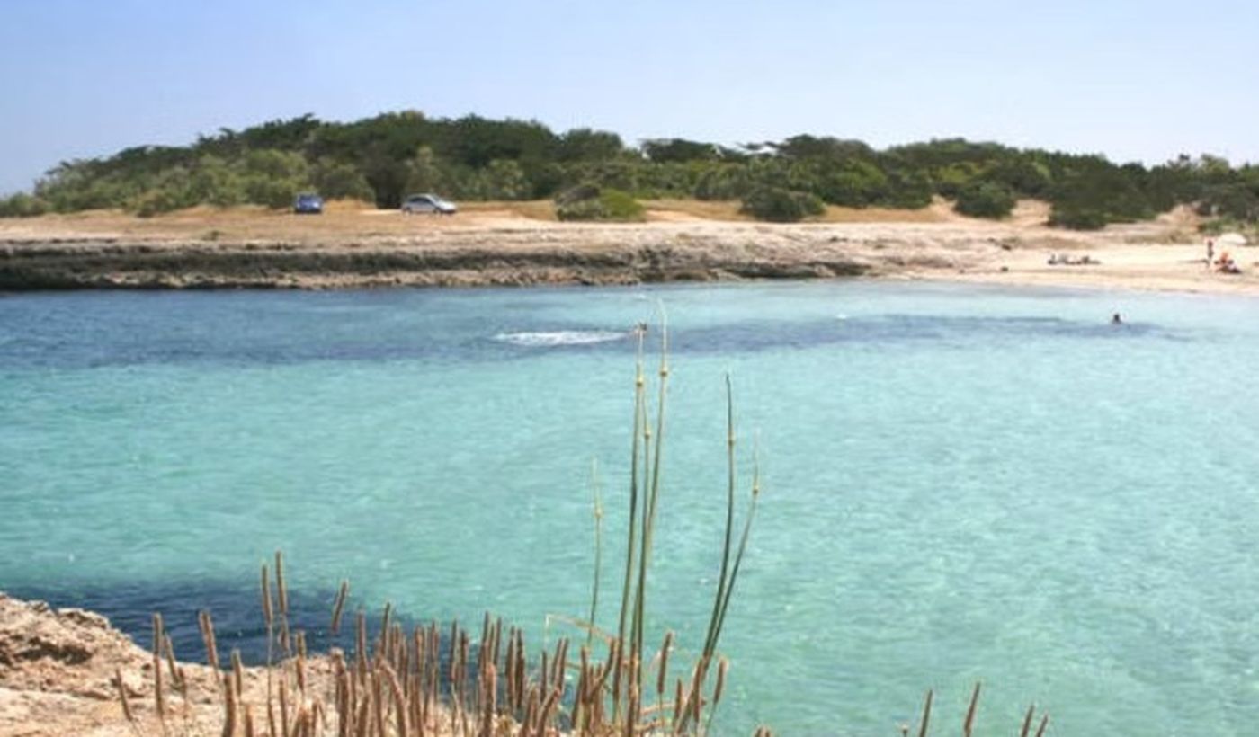 Campeggio Lamaforca