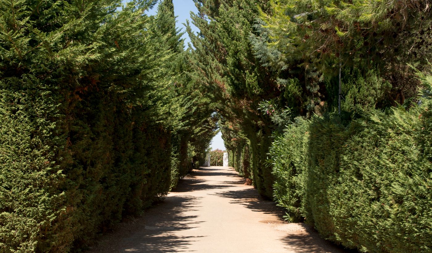 Villaggio Campeggio Cala dei Ginepri