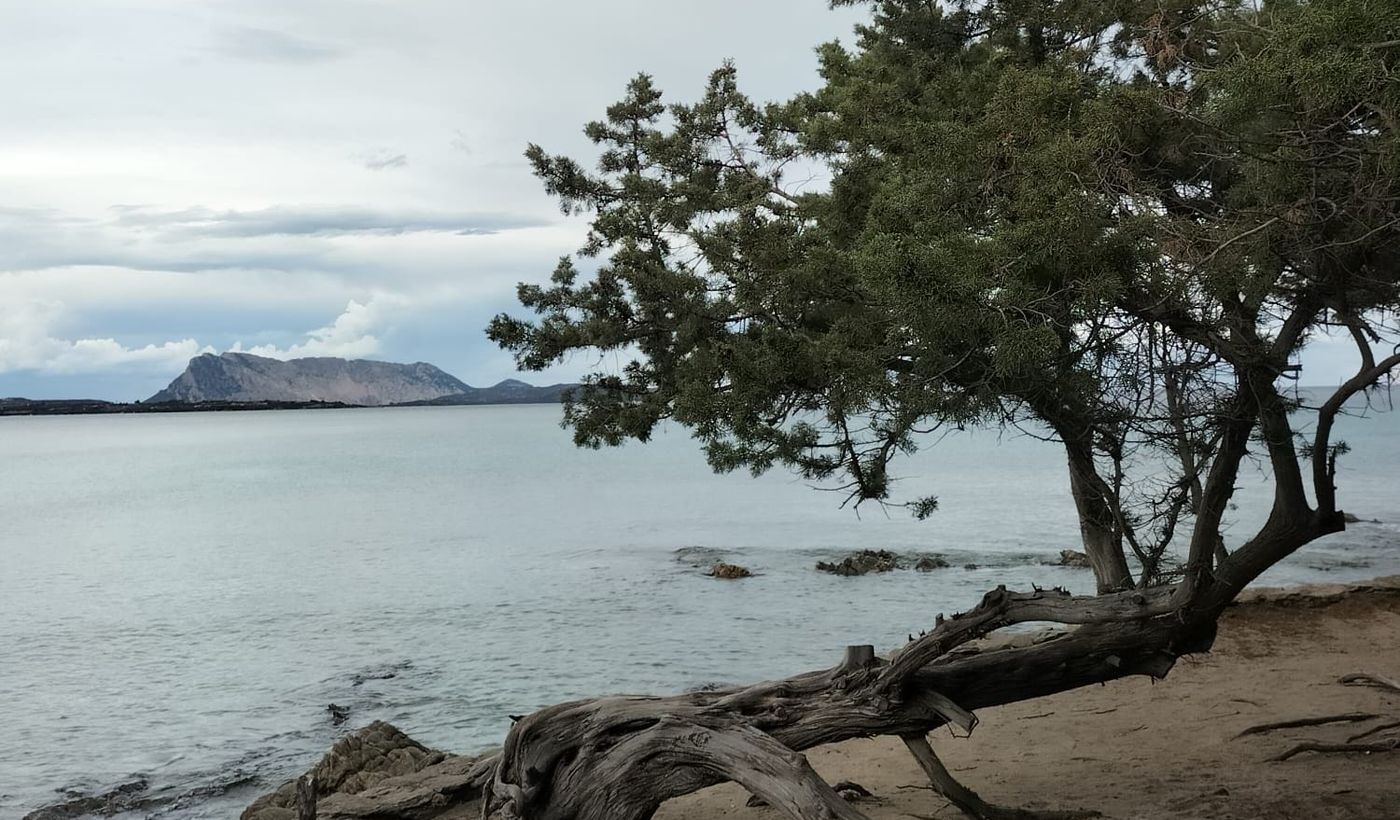Camping Cala d'Ambra