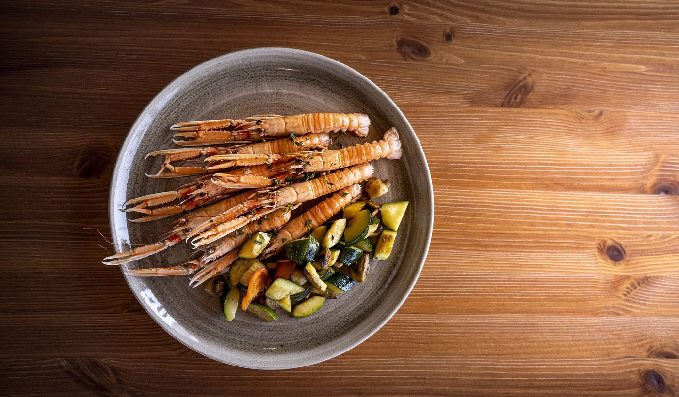 Maistra Camping Polari