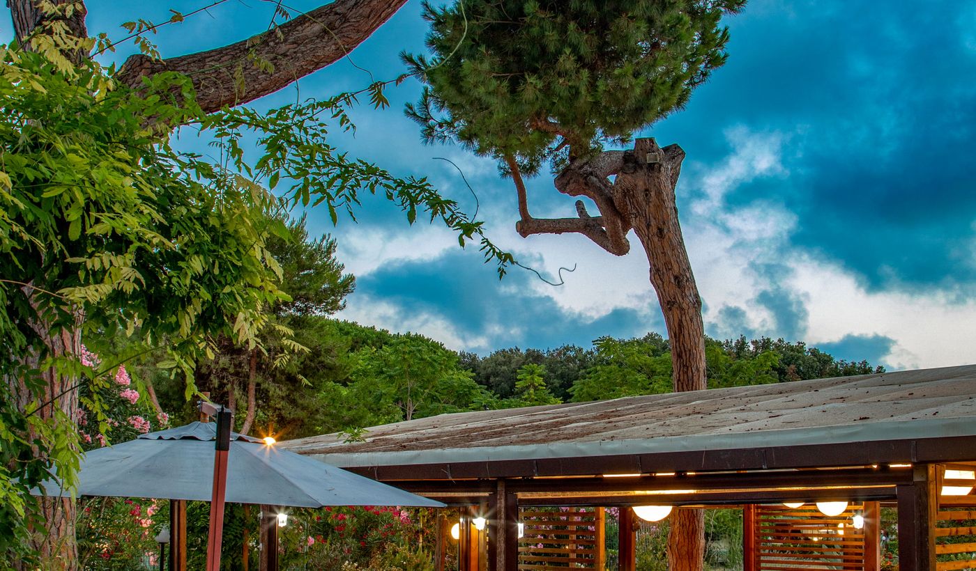 Camping Village Parco della Gallinara