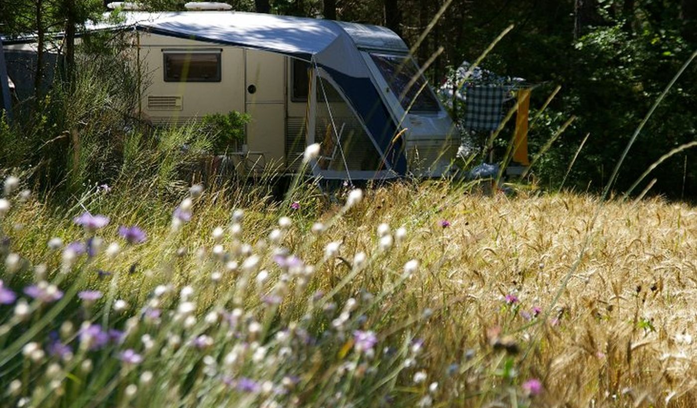 Camping Le Parc des Serigons