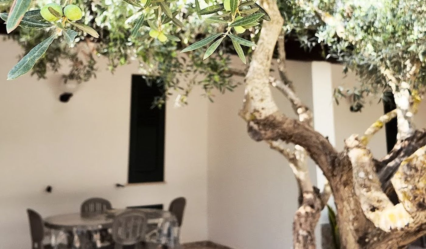 Camping Lilybeo Village