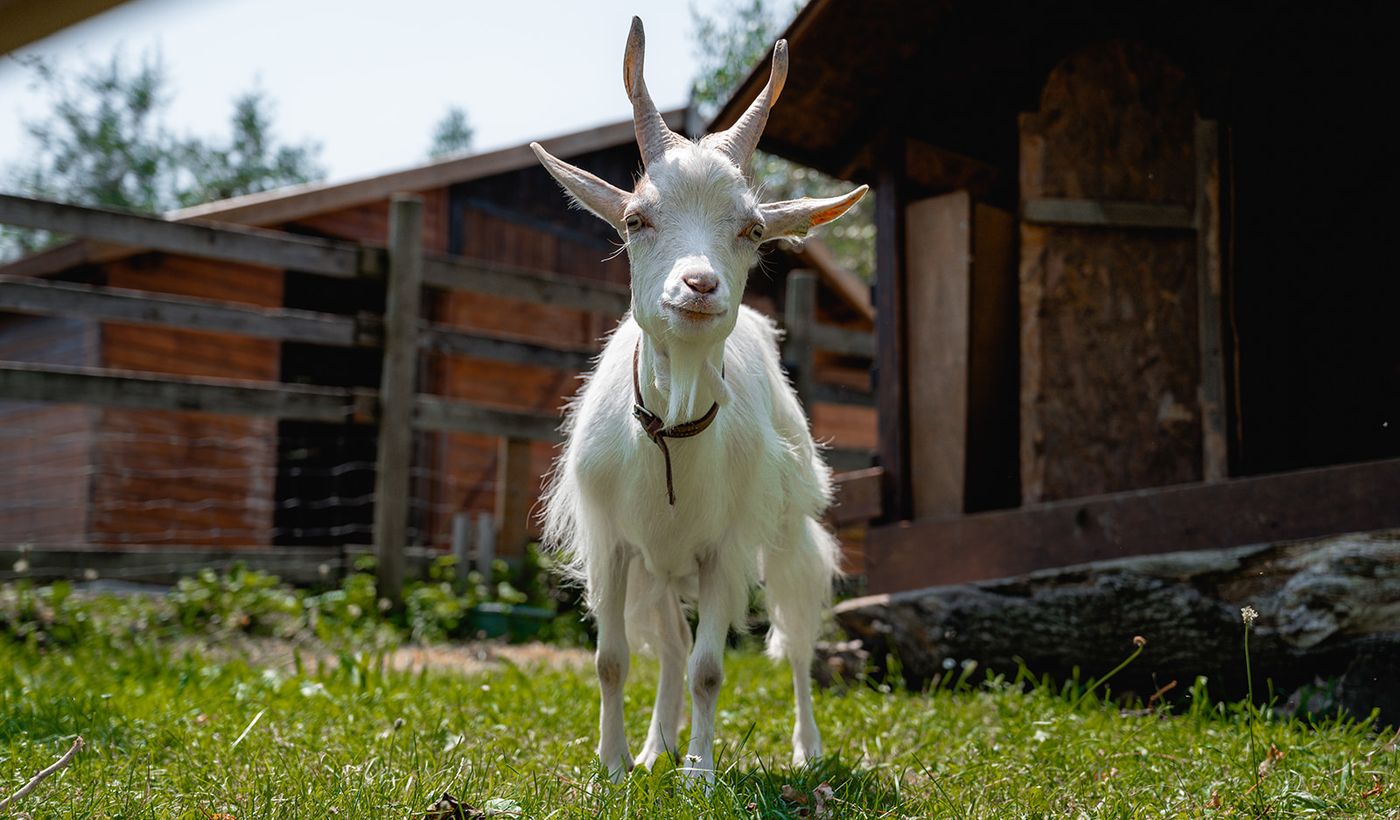 Centro Vacanze San Marino