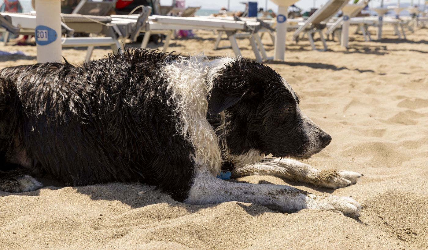 Gitavillage Le Marze