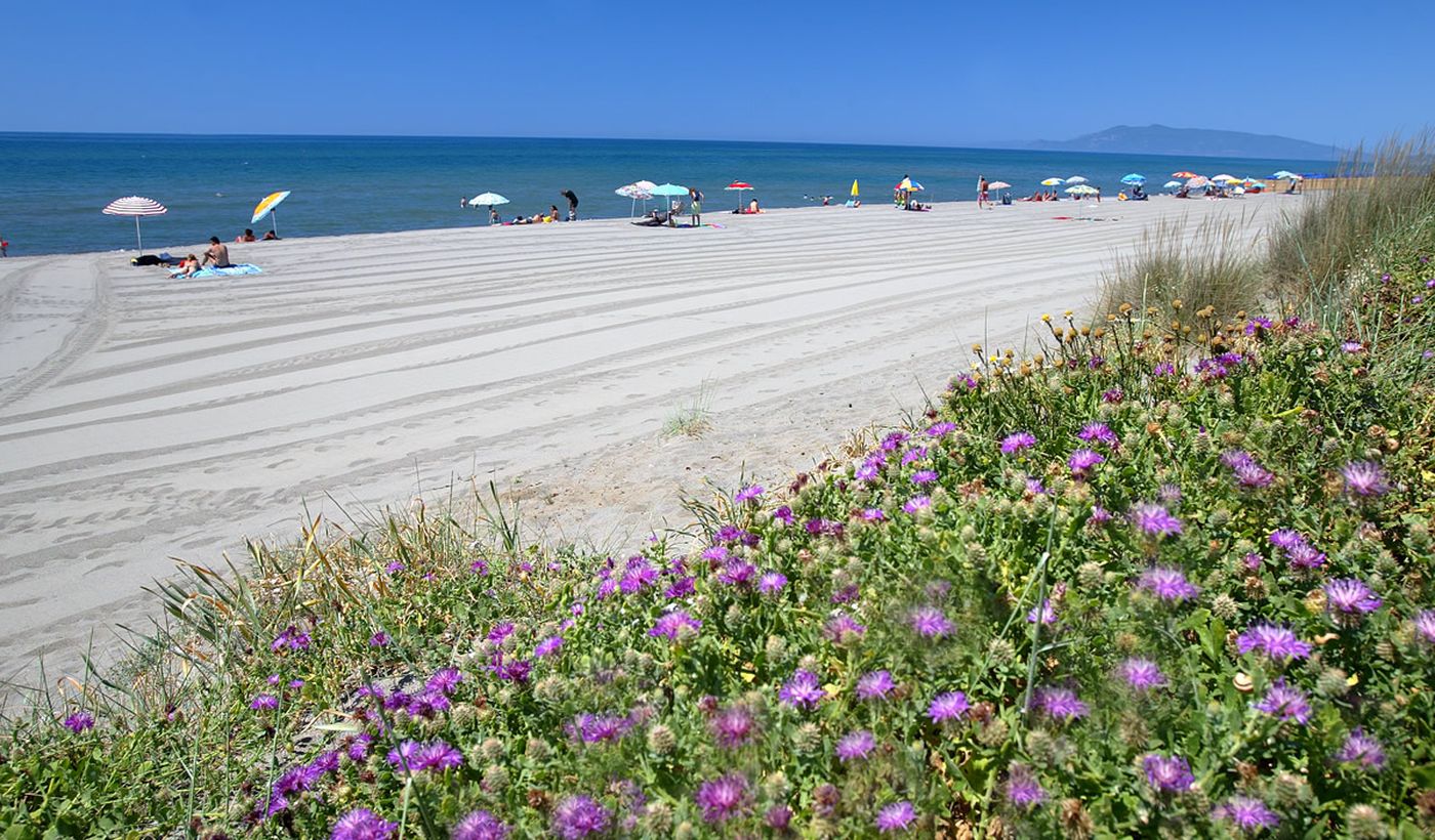 Il Campeggio di Capalbio